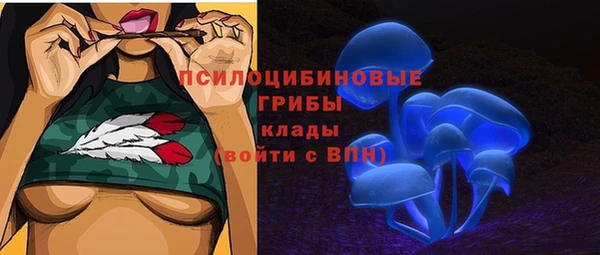 круглые Аркадак