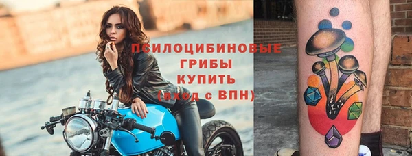 круглые Аркадак