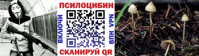 Галлюциногенные грибы Cubensis  где можно купить   Солигалич 